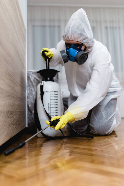 Best Termite Inspection and Treatment  in Benton, TN